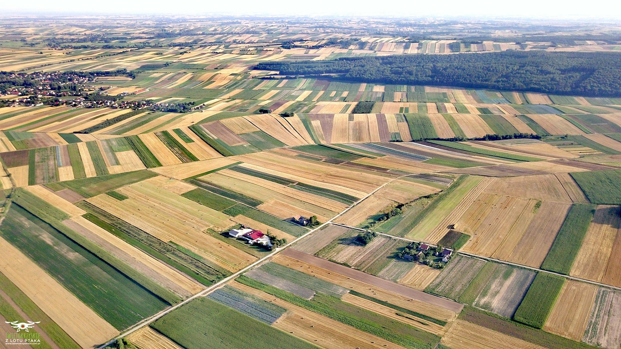 Виробничий завод AGROPOLE – сушені овочі, трави, спеції